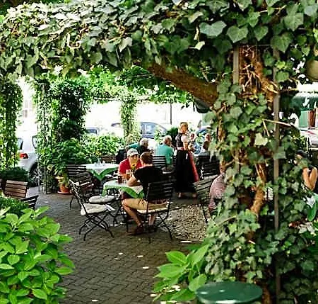 Jungbraeu